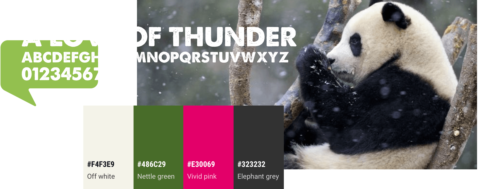 The Love of Thunder font, a simple colour palette of vivid pink, green and grey, and an image of a panda bear in the trees